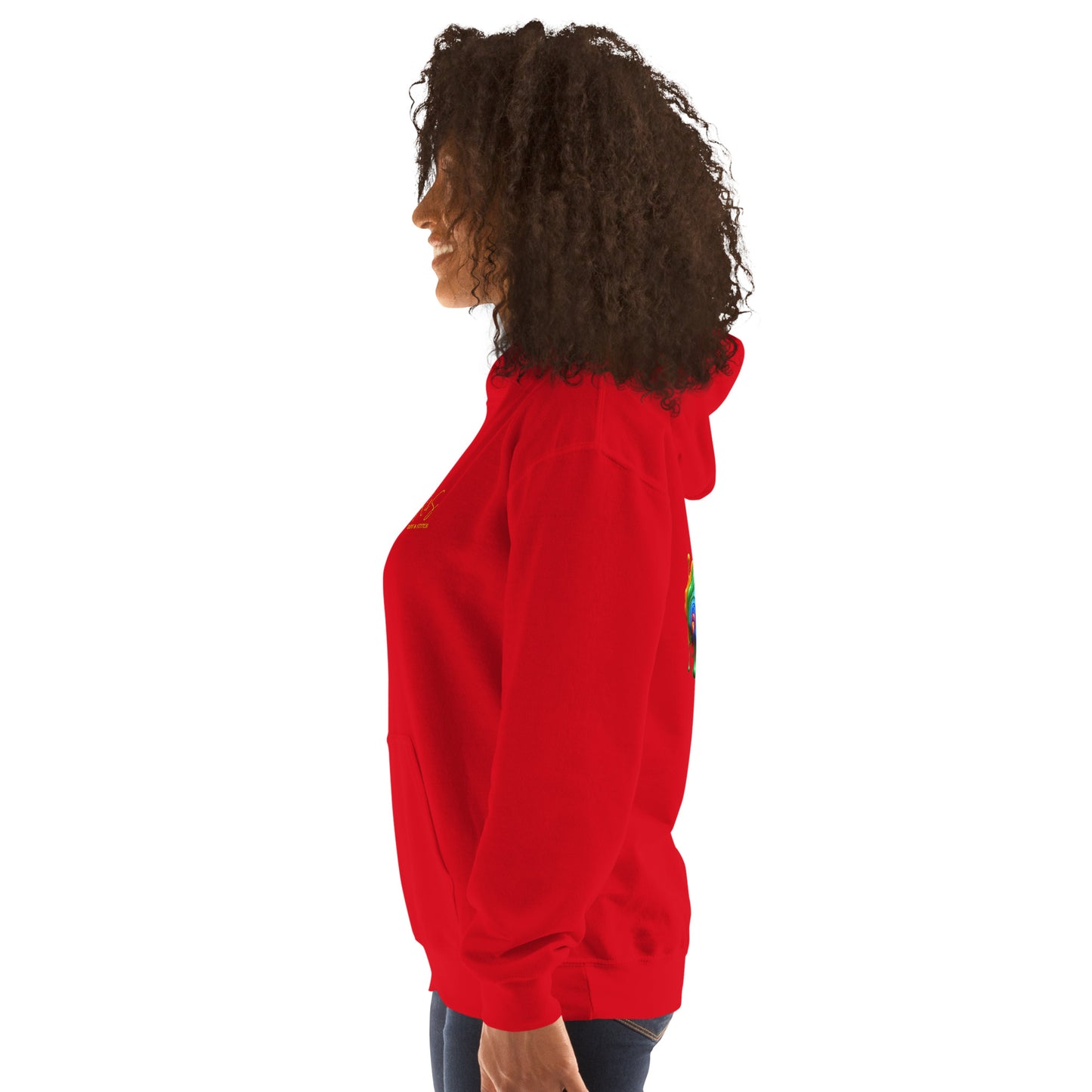 #1 Acoustic Embroidered logo- Melting Collection - Unisex Hoodie