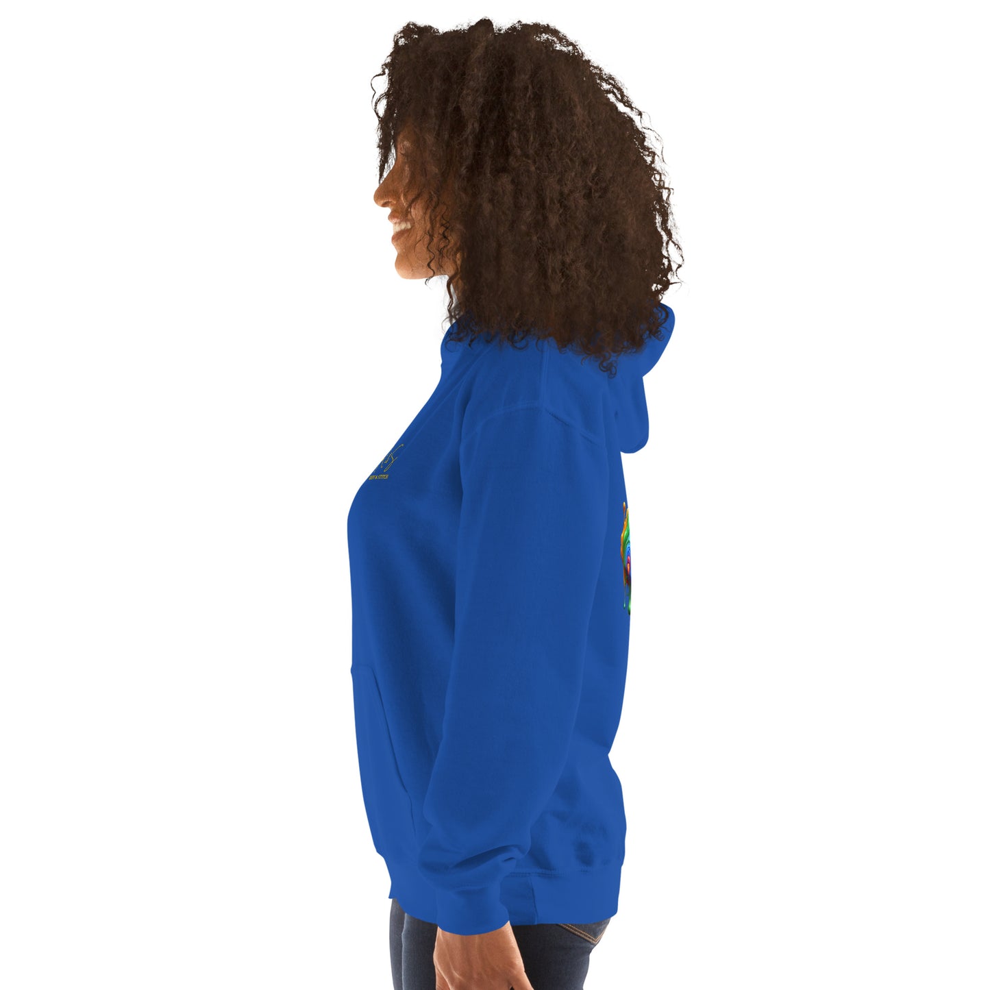 #1 Acoustic Embroidered logo- Melting Collection - Unisex Hoodie